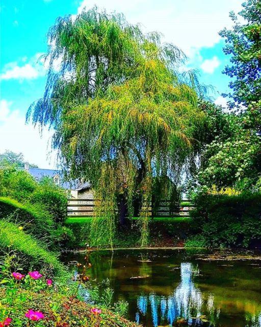 Hotel Le Manoir De Mathan Crepon A La Campagne 5 Mn D'Arromanches Et 10 Mn De Bayeux المظهر الخارجي الصورة